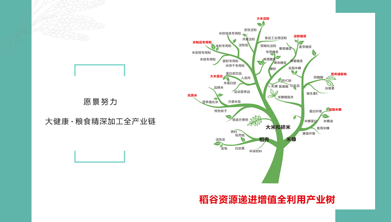 1617864605995798.jpg 简介2.jpg